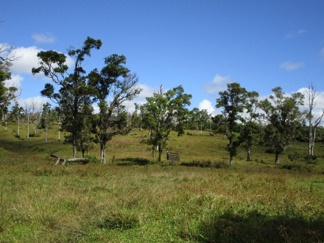 Photo 1 of 10 — Pahoa, HI 96778