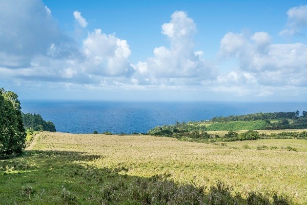 Photo 1 of 18 — Pali Nana Rd., Papaaloa, HI 96780