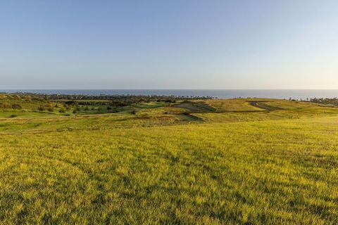 Photo of Lai Nui Pl, Koloa, HI 96756 (MLS # 717042)