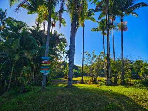 Photo of 173 Opio Rd, Hilo, HI 96720 (MLS # 718891)
