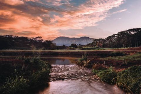 Tiny photo for #2C, Kapaa, HI 96746 (MLS # 704968)