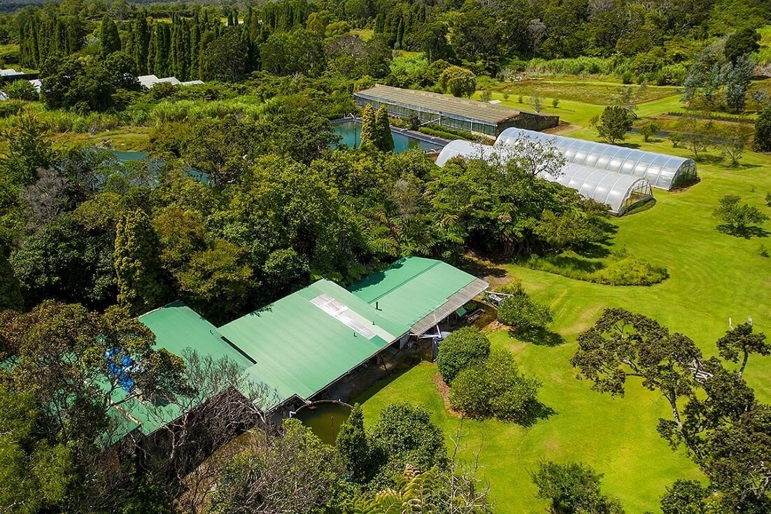 Photo 1 of 2 — 19-4631 AMAUMAU RD, Volcano, HI 96785