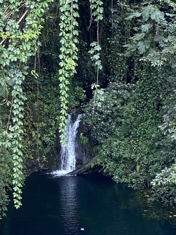 Photo 1 of 2 — Hilo, HI 96720