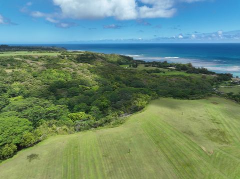 Tiny photo for Anini Rd #54, Kilauea, HI 96754 (MLS # 716963)