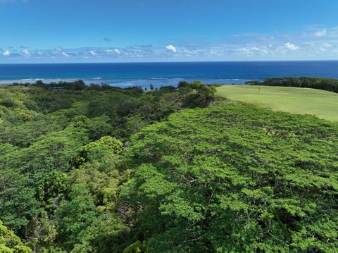 Tiny photo for Anini Rd #54, Kilauea, HI 96754 (MLS # 716963)
