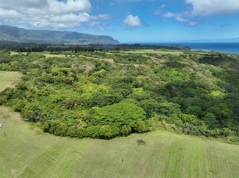 Tiny photo for Anini Rd #54, Kilauea, HI 96754 (MLS # 716963)