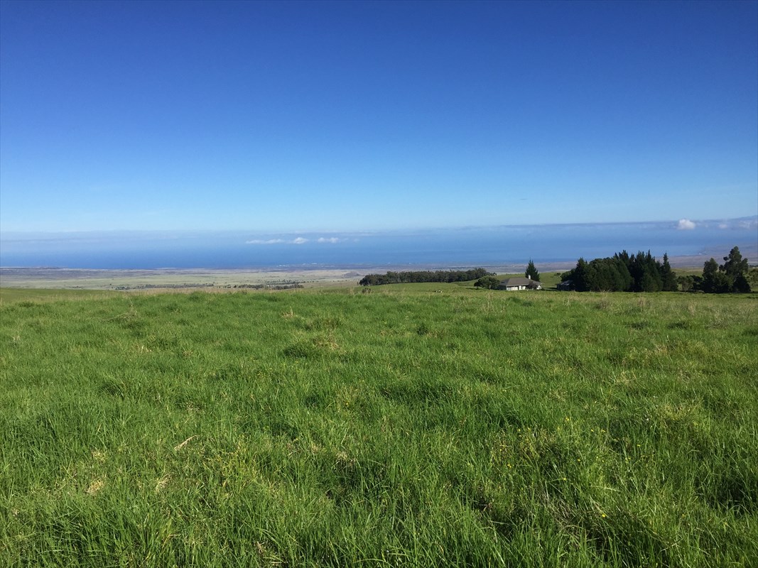 Photo 1 of 11 — Alulike, Kamuela, HI 96743