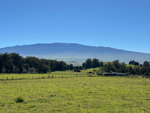 Photo of 64-550 Mamalahoa Highway, Kamuela, HI 96743 (MLS # 716377)