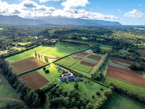 Photo of 4469 Waiakalua St #F, Kilauea, HI 96754 (MLS # 717018)