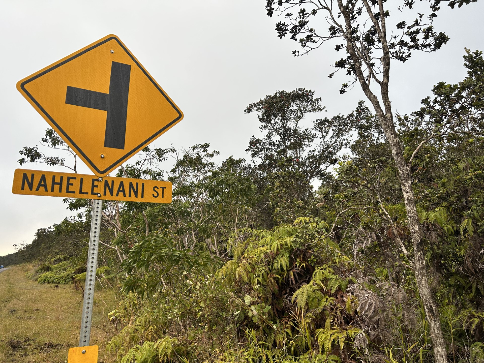 Photo 1 of 4 — NAHELENANI ST, Volcano, HI 96785