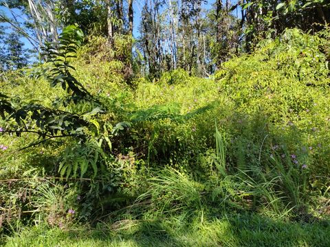 Featured picture for the property 718581