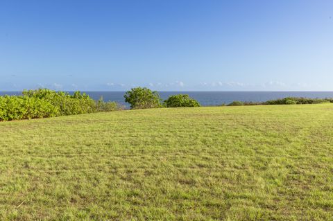 Tiny photo for Noho Kai St, Koloa, HI 96756 (MLS # 717169)
