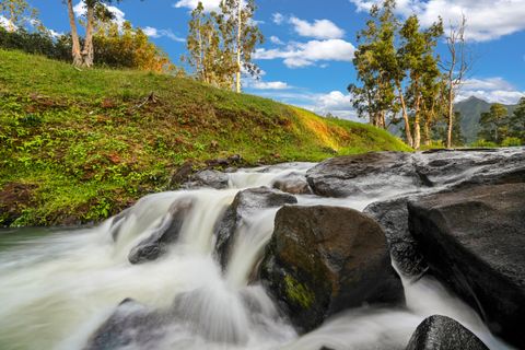 Tiny photo for 2818 Kamookoa Rd #3, Kilauea, HI 96722 (MLS # 719313)