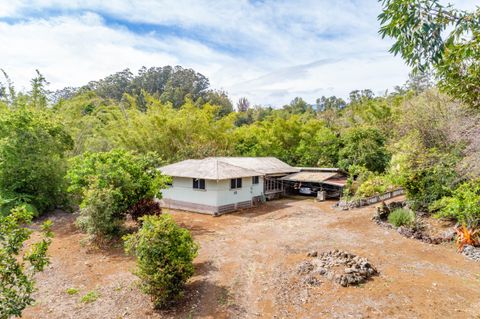 Photo of 44-3275 Hoo Kahua Rd, Honokaa, HI 96727 (MLS # 720114)