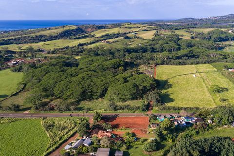 Tiny photo for 5407 Wailaau Rd, Koloa, HI 96756 (MLS # 727296)