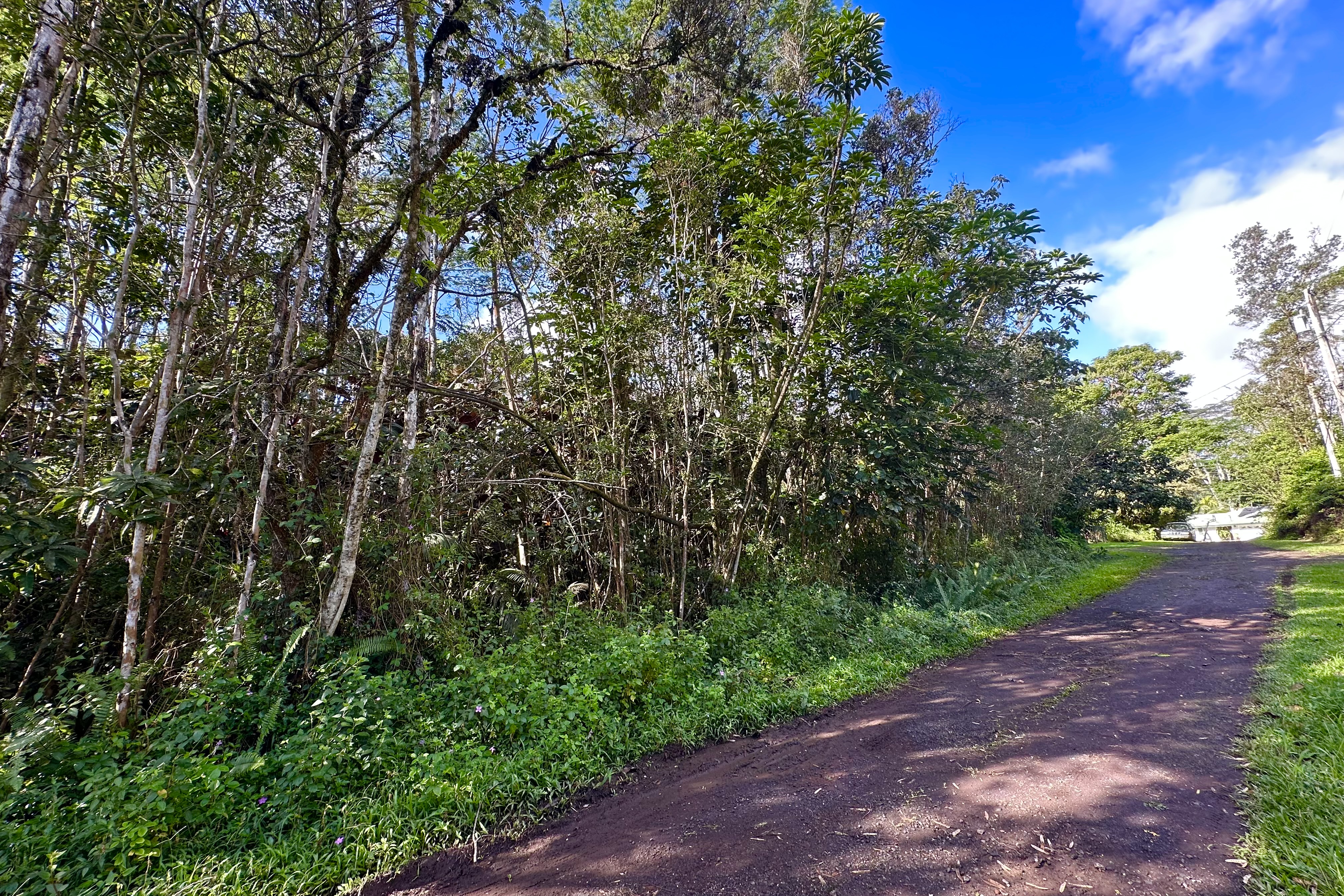 Two beautiful side by side lots in Nanawale Estates!