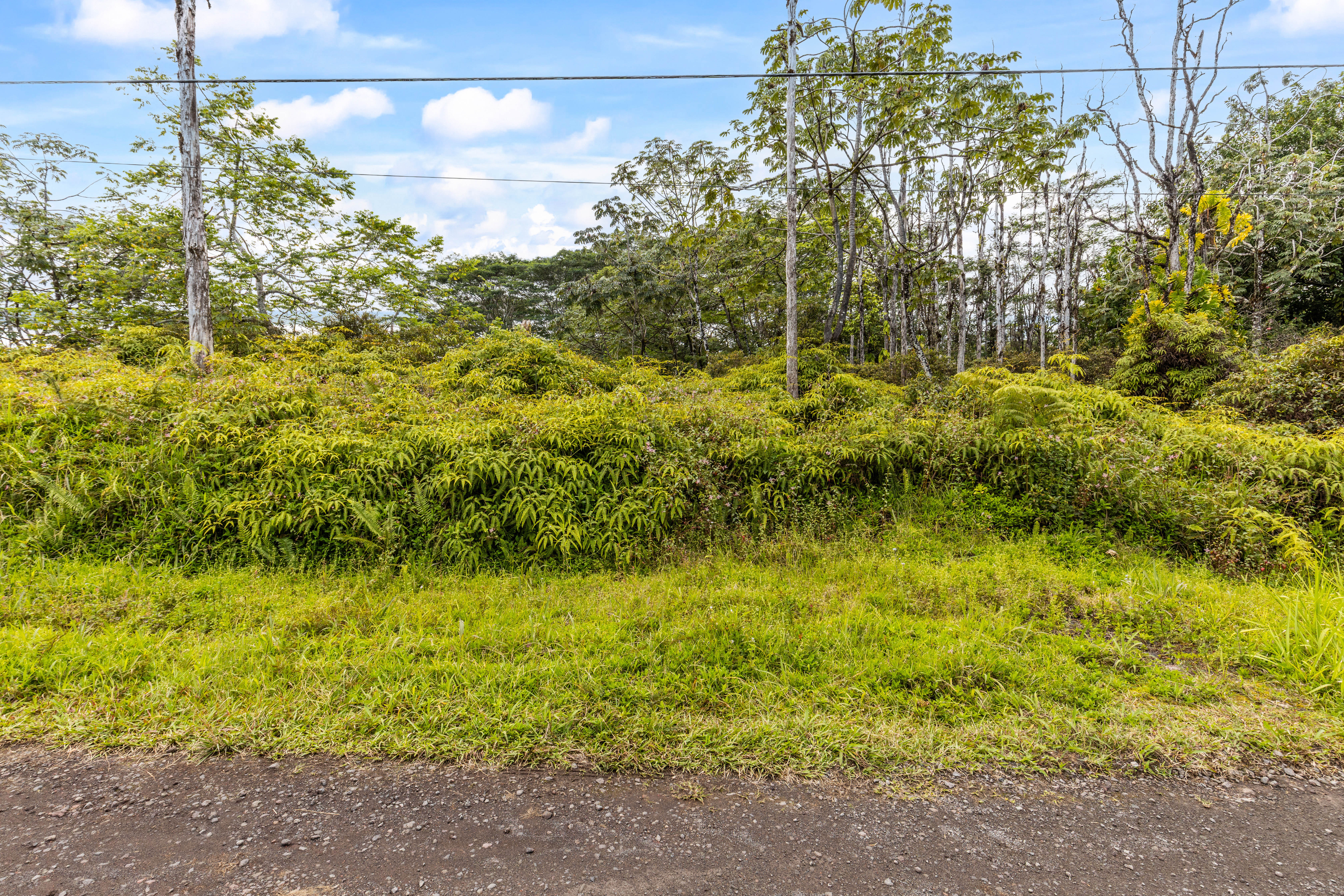 Photo 1 of 5 — 39TH AVE, Kurtistown, HI 96760
