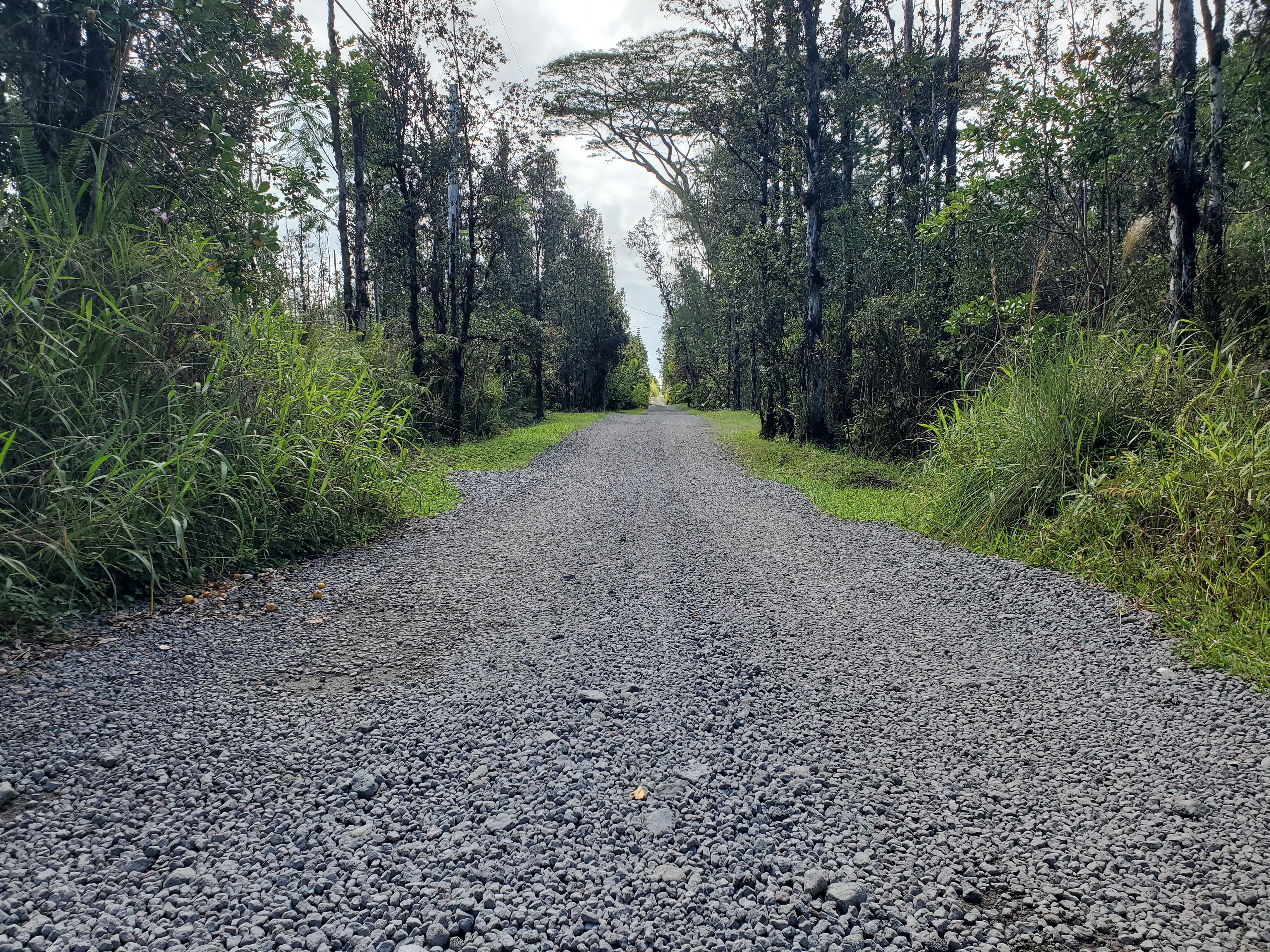 ROAD 7 (OPEAPEA)