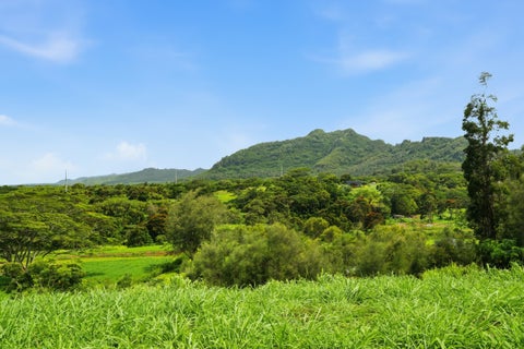 Tiny photo for #9E, Kapaa, HI 96746 (MLS # 730155)