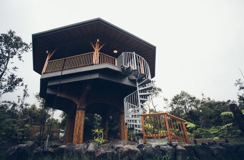 Photo of 11-3884 Nahelenani St, Volcano, HI 96785 (MLS # 726788)