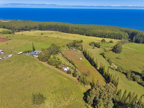 Photo of 35-1655 Maulua Nui Rd, Papaaloa, HI 96780 (MLS # 715727)