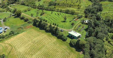 Photo of 29-2612 Kaiwiki Homestead Rd, Hakalau, HI 96710 (MLS # 721408)