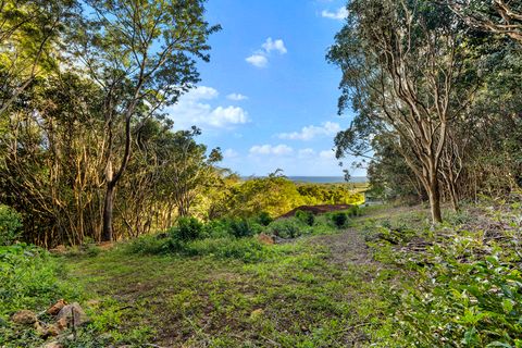 Tiny photo for 4650 Uha Rd, Lawai, HI 96741 (MLS # 725026)