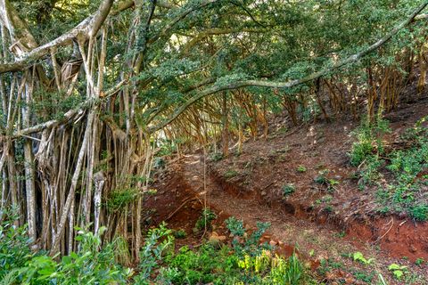Tiny photo for 4650 Uha Rd, Lawai, HI 96741 (MLS # 725026)