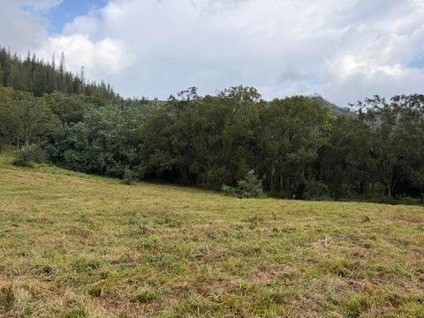 Tiny photo for Ahiahi Rd, Kapaa, HI 96746 (MLS # 727052)