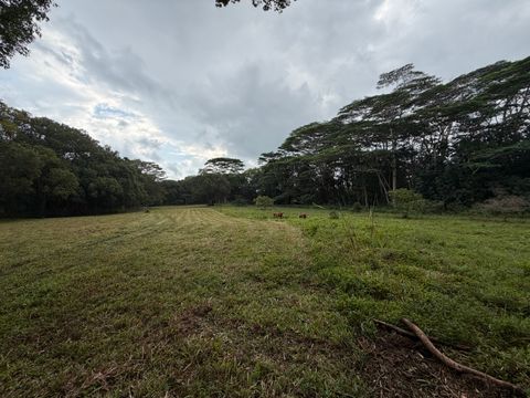 Tiny photo for Ahiahi Rd, Kapaa, HI 96746 (MLS # 727052)