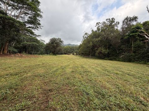 Tiny photo for Ahiahi Rd, Kapaa, HI 96746 (MLS # 727052)