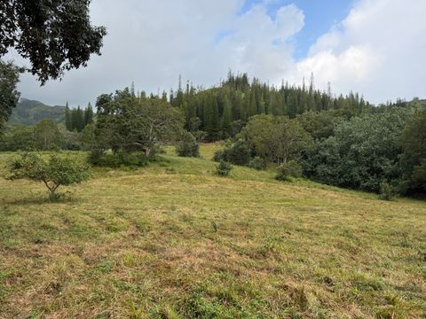 Tiny photo for Ahiahi Rd, Kapaa, HI 96746 (MLS # 727052)