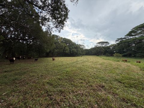 Tiny photo for Ahiahi Rd, Kapaa, HI 96746 (MLS # 727052)