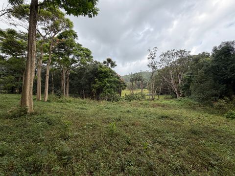 Tiny photo for Ahiahi Rd, Kapaa, HI 96746 (MLS # 727052)