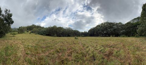 Tiny photo for Ahiahi Rd, Kapaa, HI 96746 (MLS # 727052)