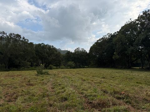 Tiny photo for Ahiahi Rd, Kapaa, HI 96746 (MLS # 727052)