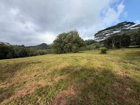 Tiny photo for Ahiahi Rd, Kapaa, HI 96746 (MLS # 727052)