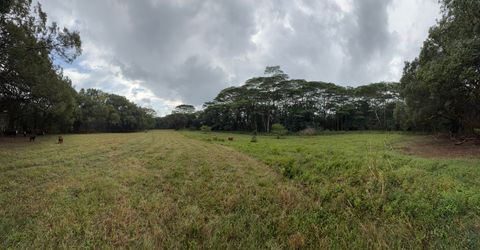 Tiny photo for Ahiahi Rd, Kapaa, HI 96746 (MLS # 727052)