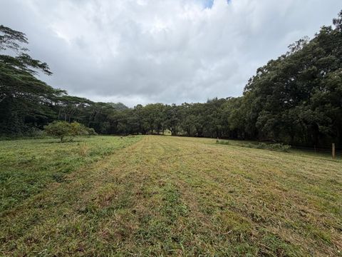 Tiny photo for Ahiahi Rd, Kapaa, HI 96746 (MLS # 727052)