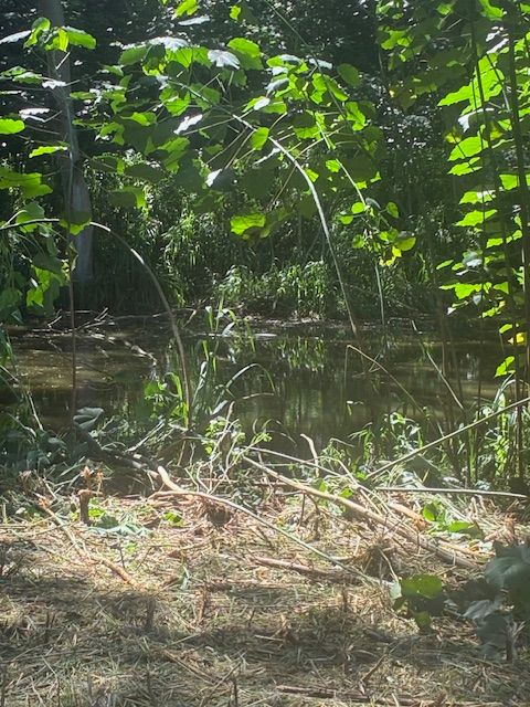 Tiny photo for #14A, Kapaa, HI 96746 (MLS # 724440)