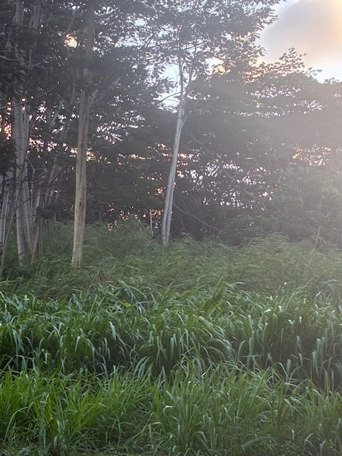 Tiny photo for #14A, Kapaa, HI 96746 (MLS # 724440)