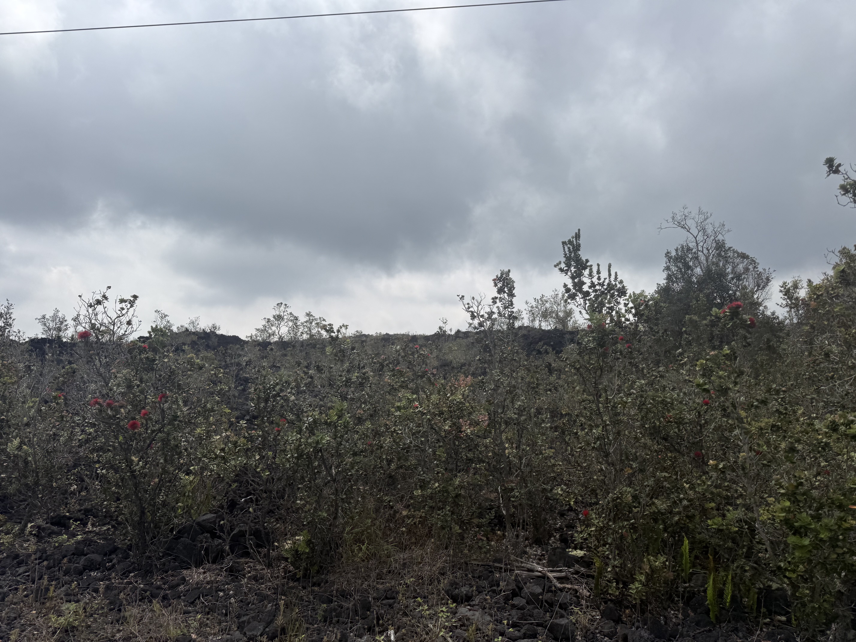 Photo 1 of 7 — 92-2131 OCEAN VIEW PKWY, Ocean View, HI 96737