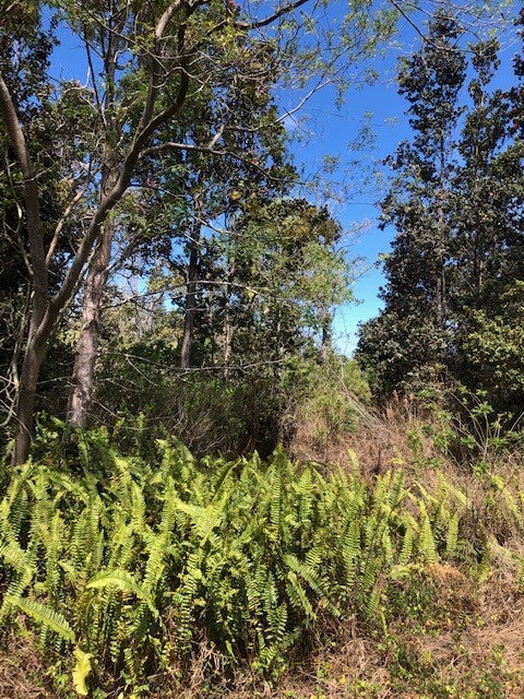 Photo 1 of 5 — BAMBOO LN, Ocean View, HI 96737