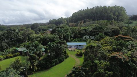 Photo of 48-5443 Kukuihaele Rd, Honokaa, HI 96727 (MLS # 722542)