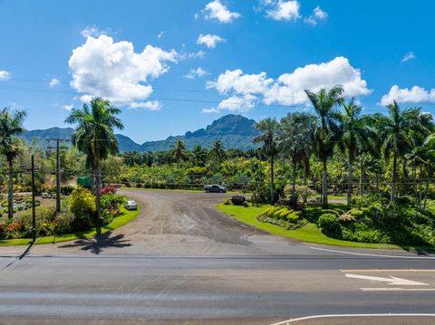 Tiny photo for 3-1480 Kaumualii Hwy #2, Lihue, HI 96766 (MLS # 720819)