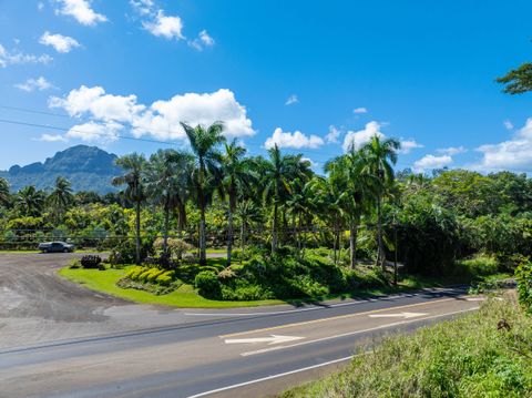 Tiny photo for 3-1480 Kaumualii Hwy #2, Lihue, HI 96766 (MLS # 720819)