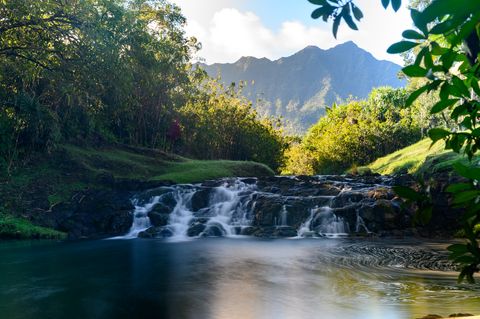 Tiny photo for 2818 Kamookoa Rd #1, Kilauea, HI 96754 (MLS # 728631)