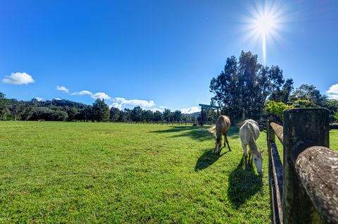 Tiny photo for 2818 Kamookoa Rd #1, Kilauea, HI 96754 (MLS # 728631)