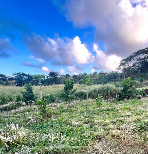 Tiny photo for Uilama Pl #4X, Kapaa, HI 96746 (MLS # 727173)