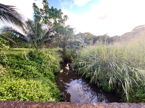 Photo of Uilama Pl #4X, Kapaa, HI 96746 (MLS # 727173)